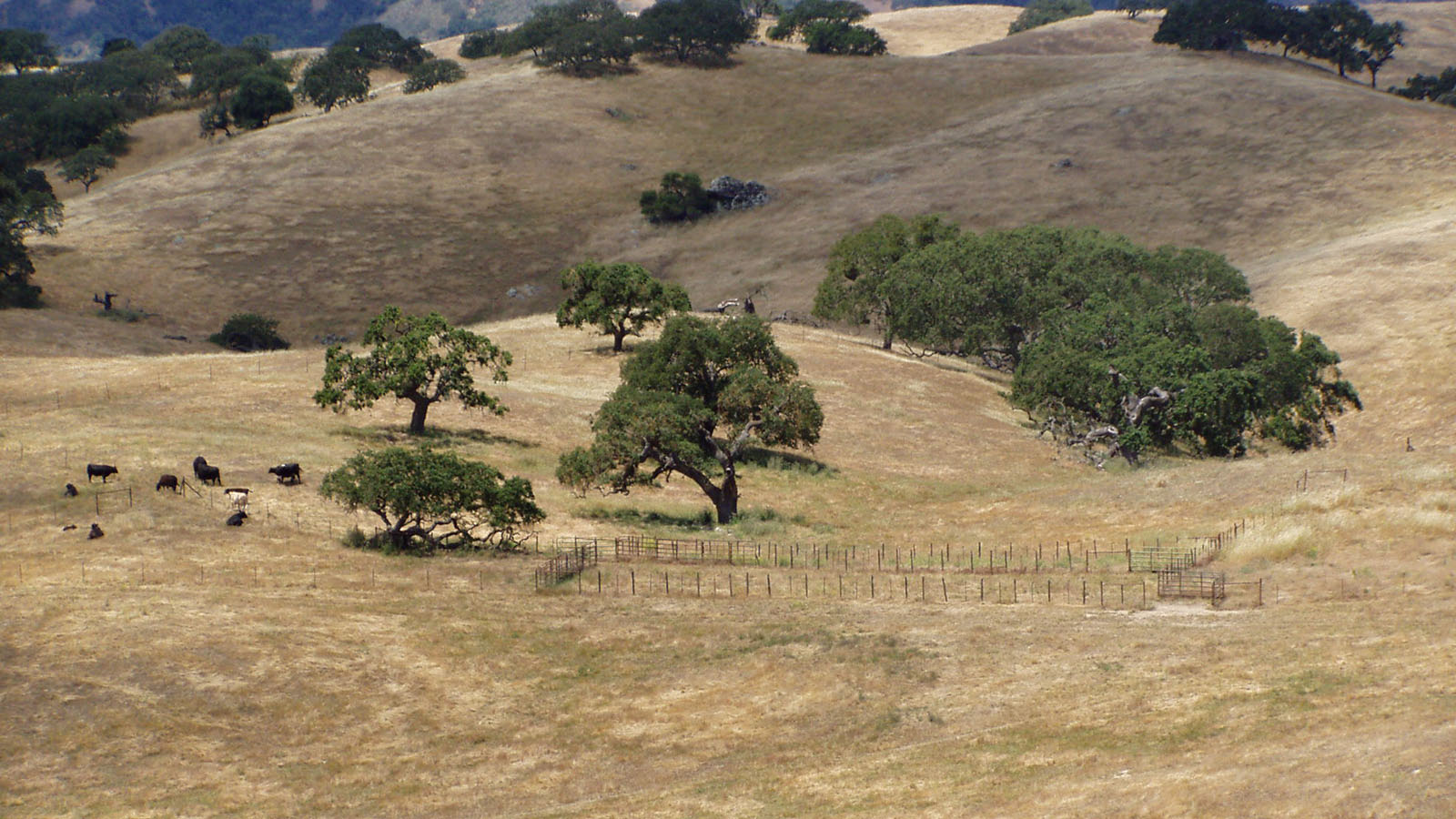 Clark Company Rancho El Toro